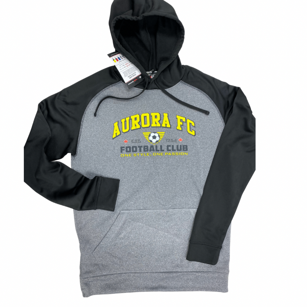 Aurora hoodie sale
